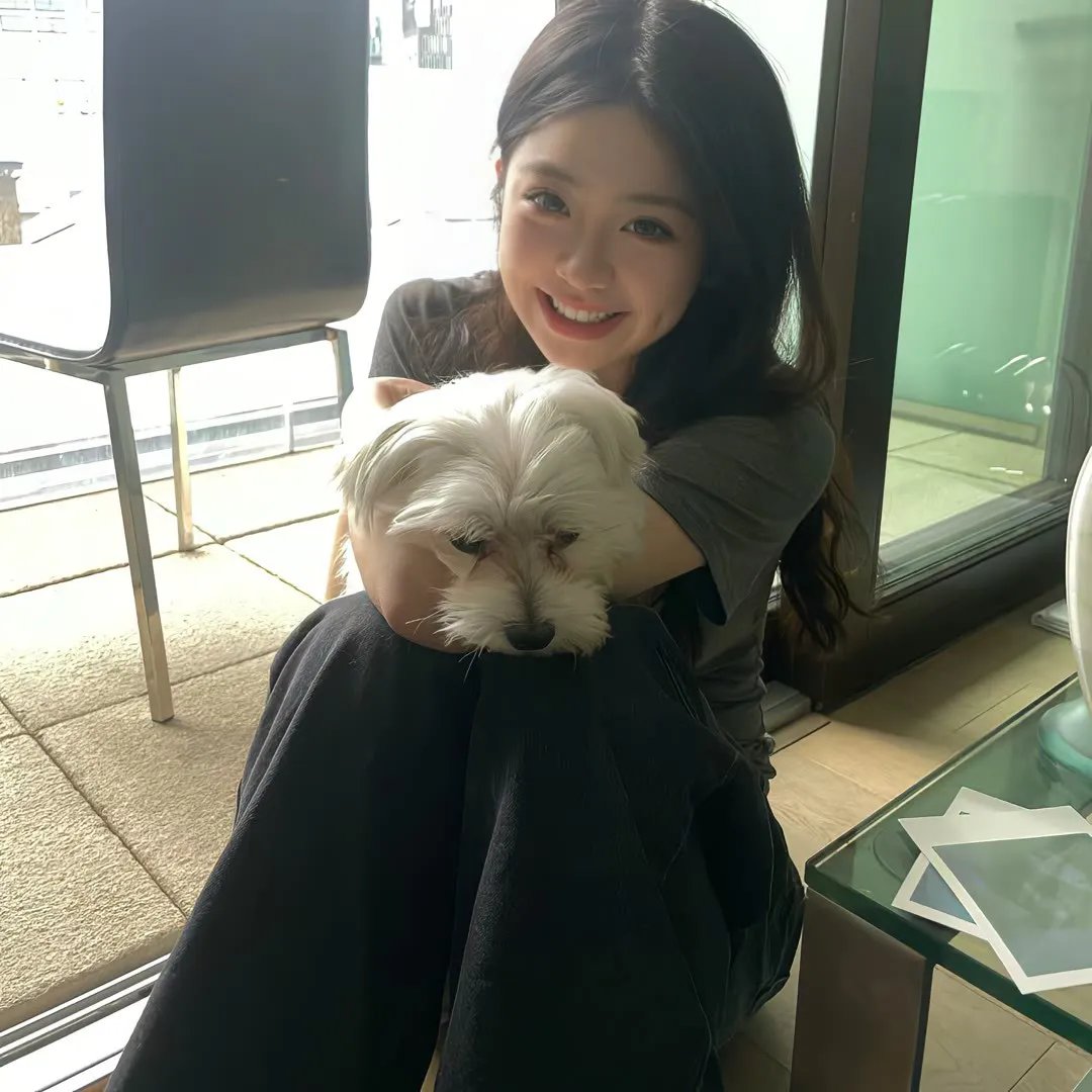 尼罗河上谋杀案 封面